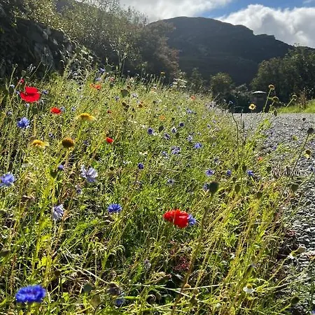 Secluded Thatched Cottage, Near Beaches & Hill Walking Holiday home *